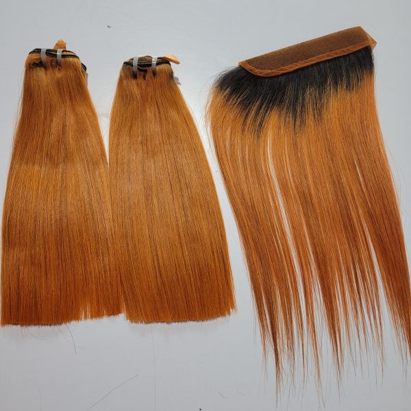 bone straight vietnamese human hair closure 2x6 hd lace wig