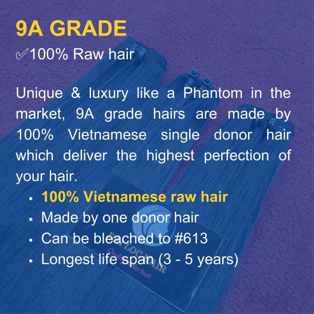 9a grade vietnamese raw hair